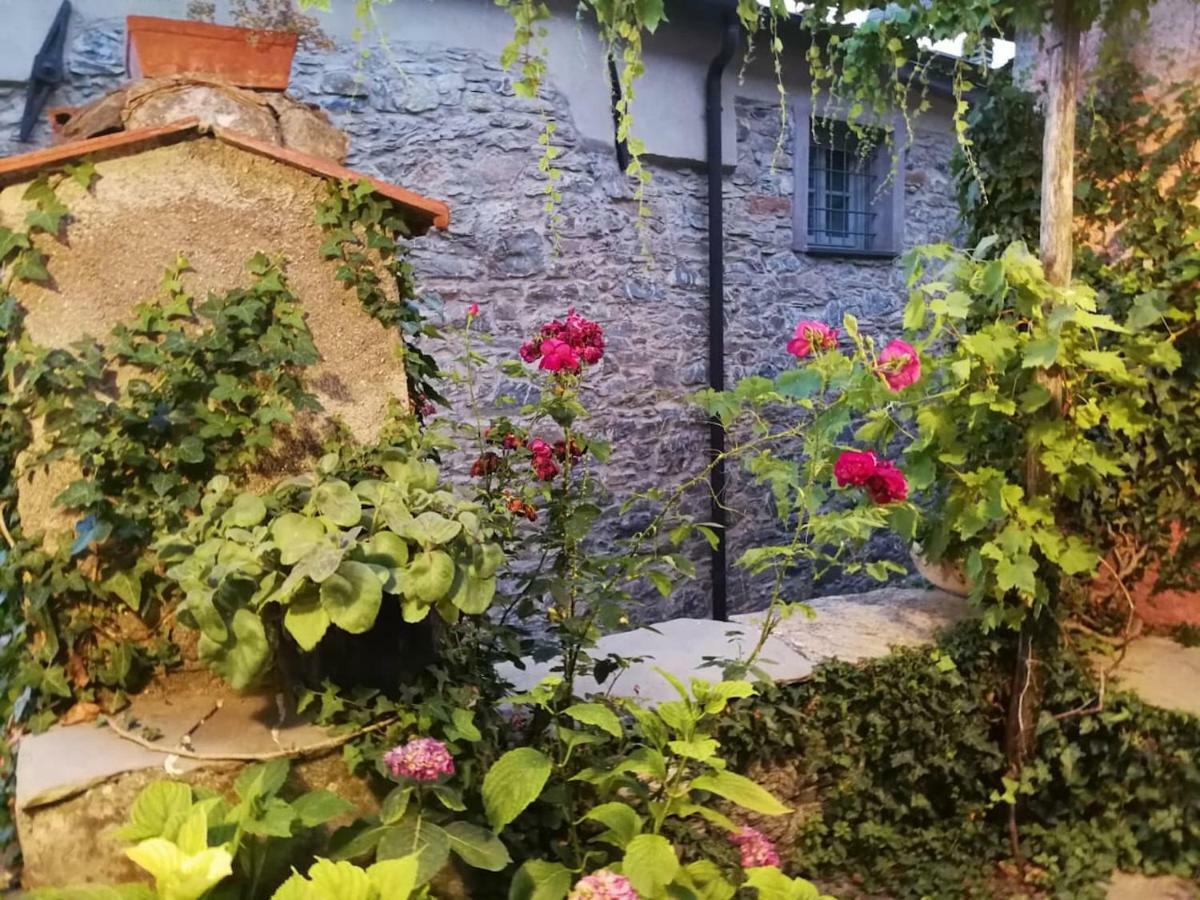 Casale Maria Mafalda Pieve di Teco Exterior foto
